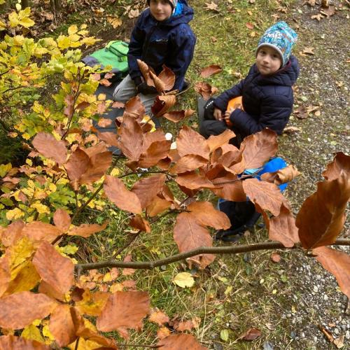 Kinder im Wald
