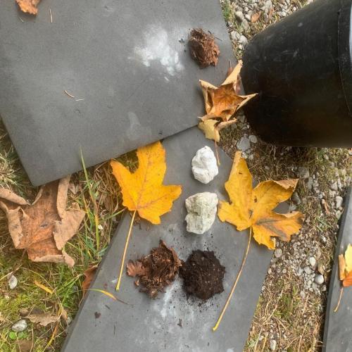 Was gibt der Wald alles her