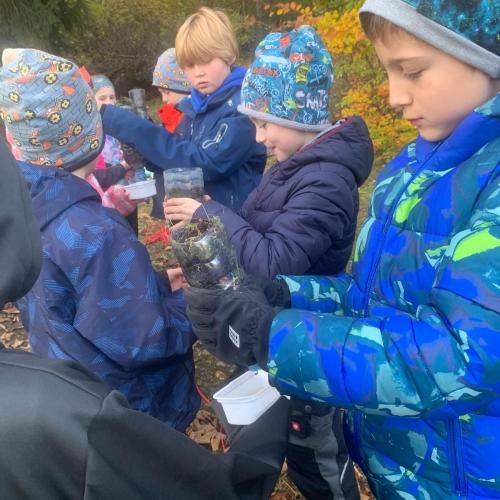 Schichten des Bodens