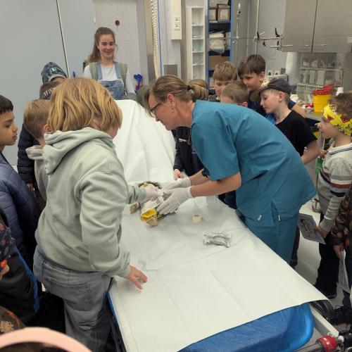 Krankenhausführung