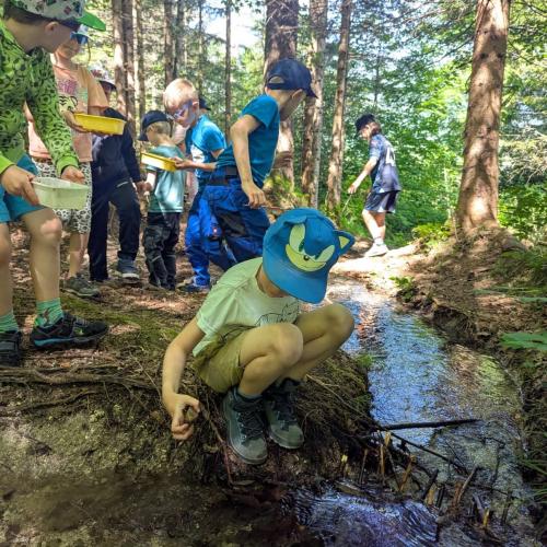 Natopia Wasser