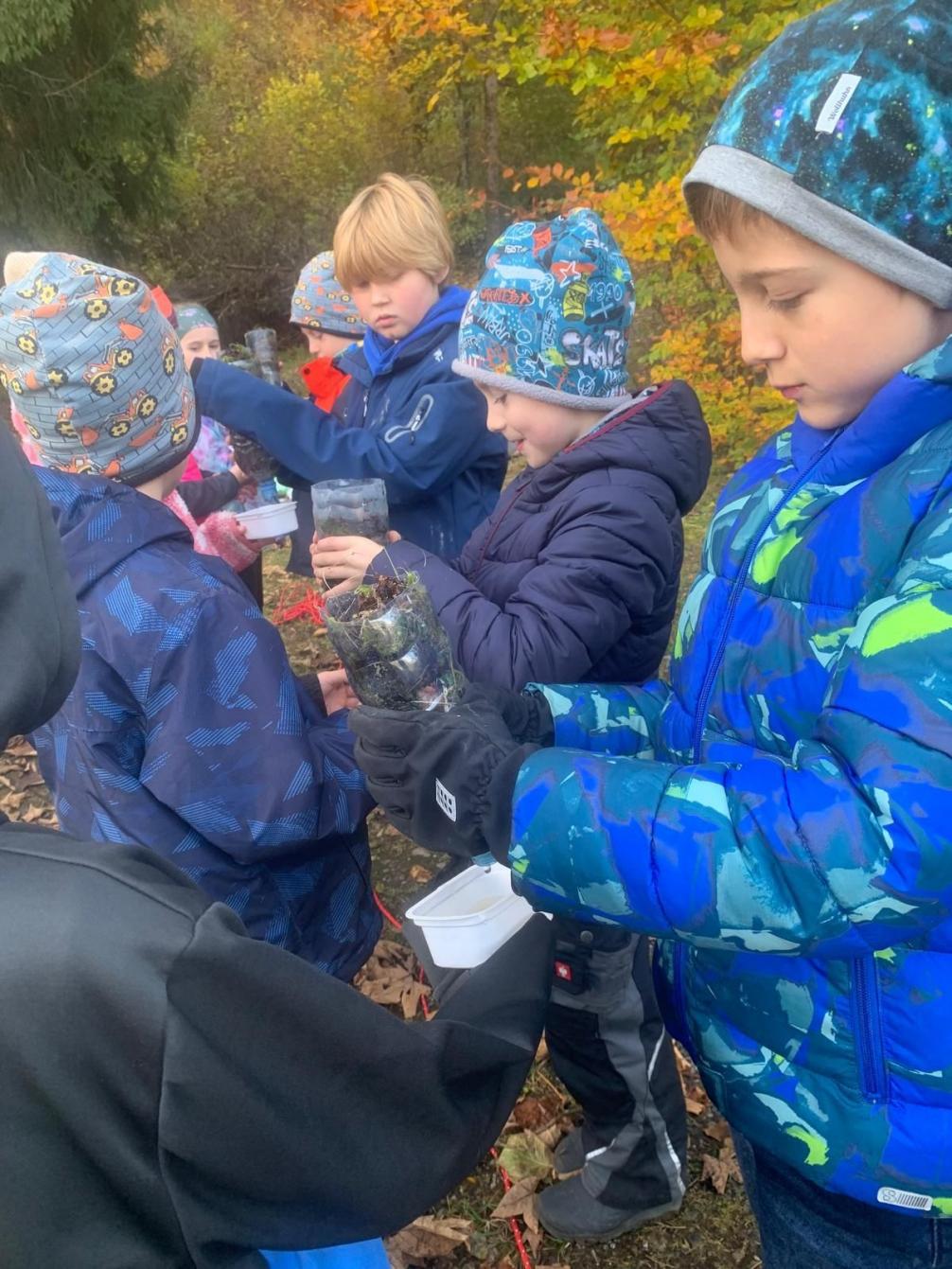 Schichten des Bodens